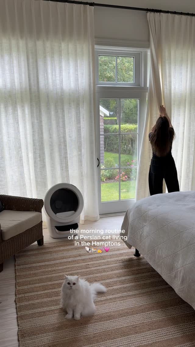 Instagram post by @cleothecitykitty for Litter-Robot. Caption reads: Cleo’s morning routine out east ☀️ @thelitterrobot....
