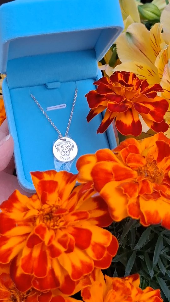 Instagram post by @lab.called.oscar for Pupring. Caption reads: [...] we received a beautiful parcel from @pupring....