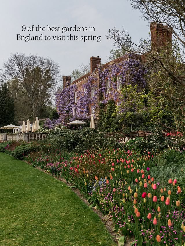 Instagram post by @whatstacydid for Son de Flor. Caption reads: 8 of the most beautiful gardens to visit this....