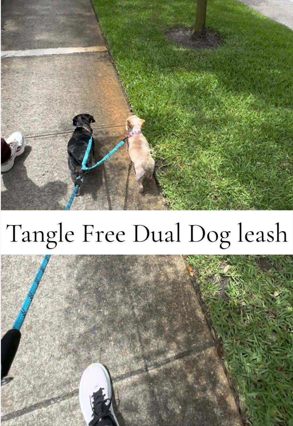 TikTok post by @wildlyfitvibes for iYoShop. Caption reads: [...] #dealsforyoudays #dogmom #summerwins....