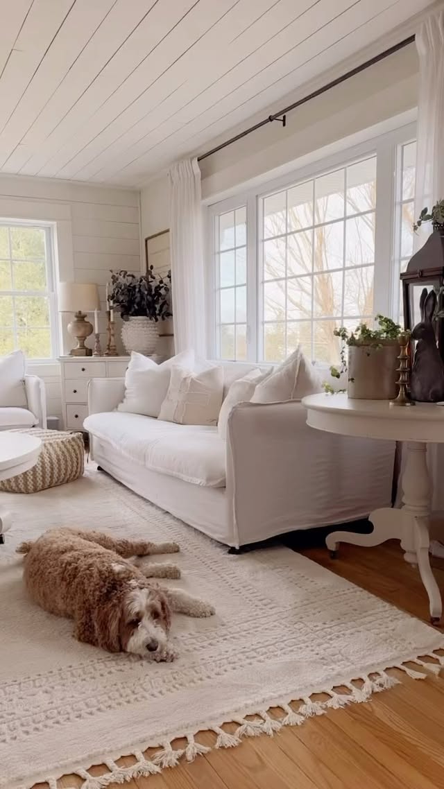 Instagram post by @ericamuellerhome for Boutique Rugs. Caption reads: [...] the Ryuu Ivory rug from @boutiquerugs 🤍....