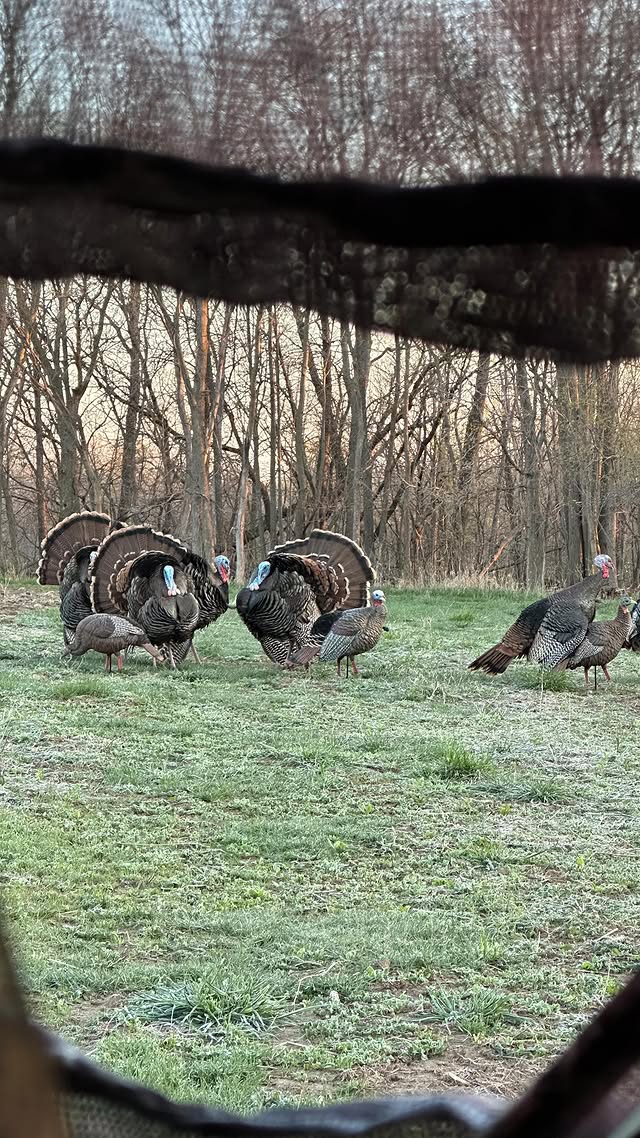 Instagram post by @drivenhunter for Vortex Optics. Caption reads: [...] this morning for @graham_cronin from....