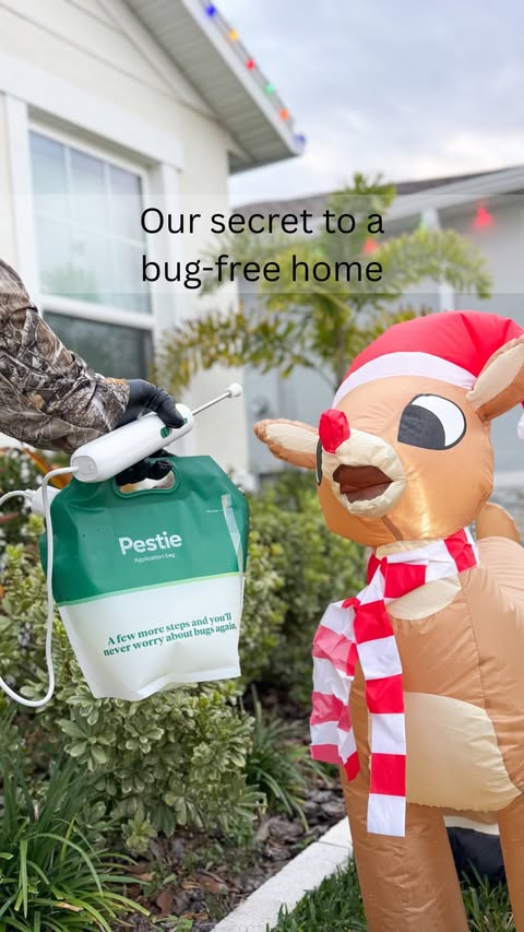 Instagram post by @jcuccionilli for Pestie. Caption reads: #ad | New house, same bug guy. 🐜🕷️

Pete has....