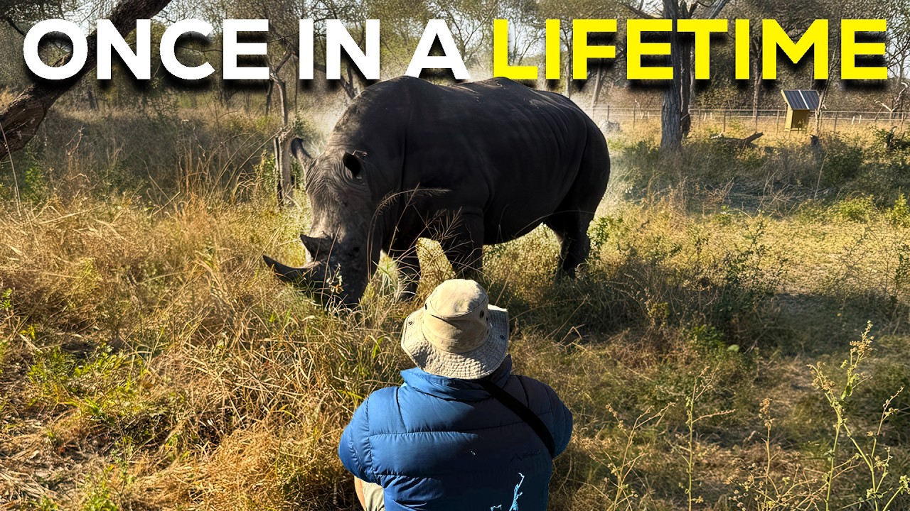 YouTube post by @Mr_Fruit for ADVANCEDgg. Caption reads: I Wasn't Sure an African Safari Was Worth It. I....