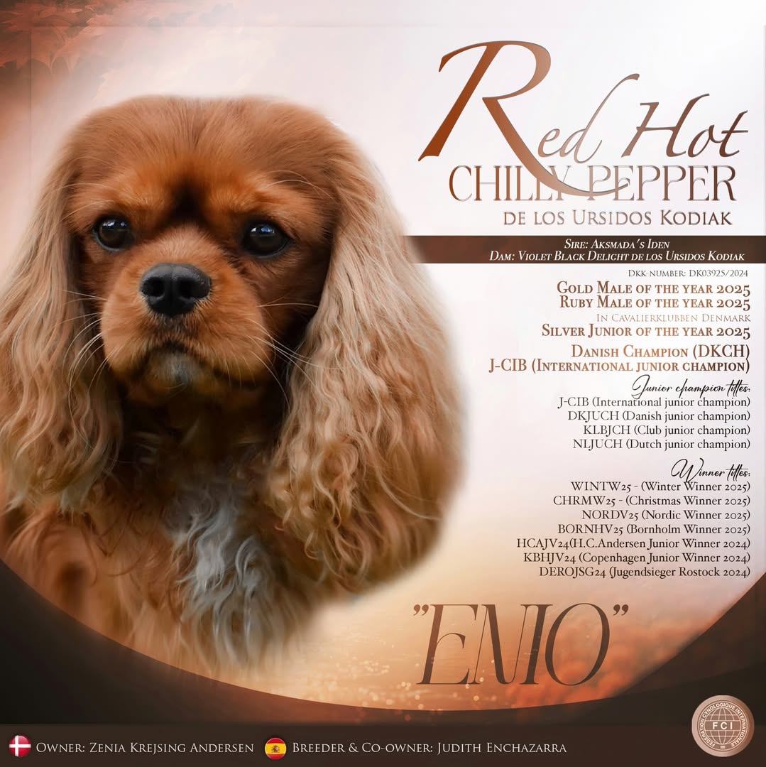 Instagram post by @cutecosmo_thecavalier for ESSENTIAL FOODS. Caption reads: The final points has been counted & puplished & I....