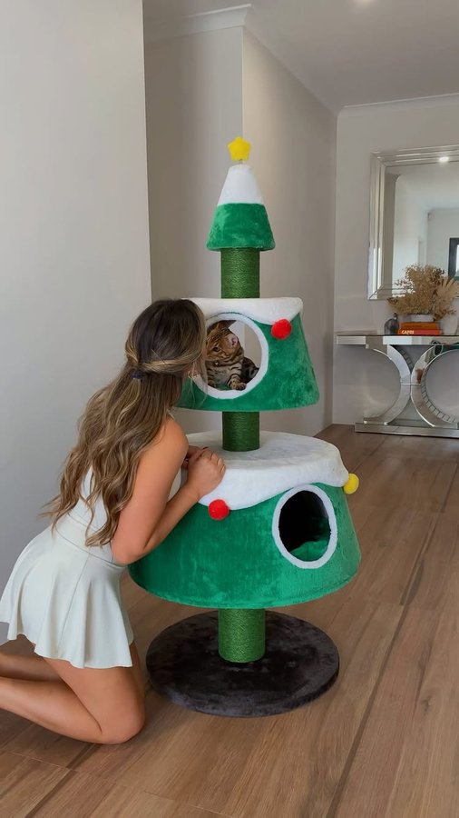 Instagram post by @sammysuleski for MICHUPET. Caption reads: Festive szn is here and so is our new....