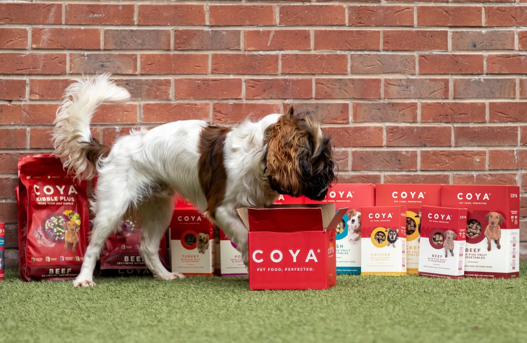 Instagram post by @busterthecockalier for COYA Pet. Caption reads: [...] - It’s an EMERGENCY ‼️ I’ve searched my....