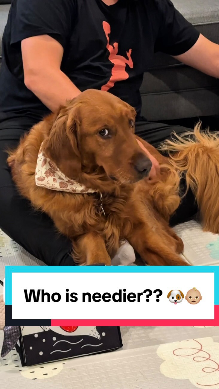 Instagram post by @airbudkobe for Fisher-Price. Caption reads: I think all my dog mom friends know the answer to....