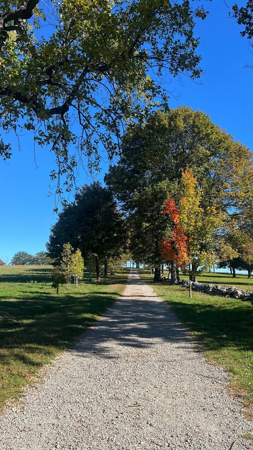 Instagram post by @claudiaaharrington for Hippeas. Caption reads: #hippeaspartner The crunch of a @hippeas_snacks....