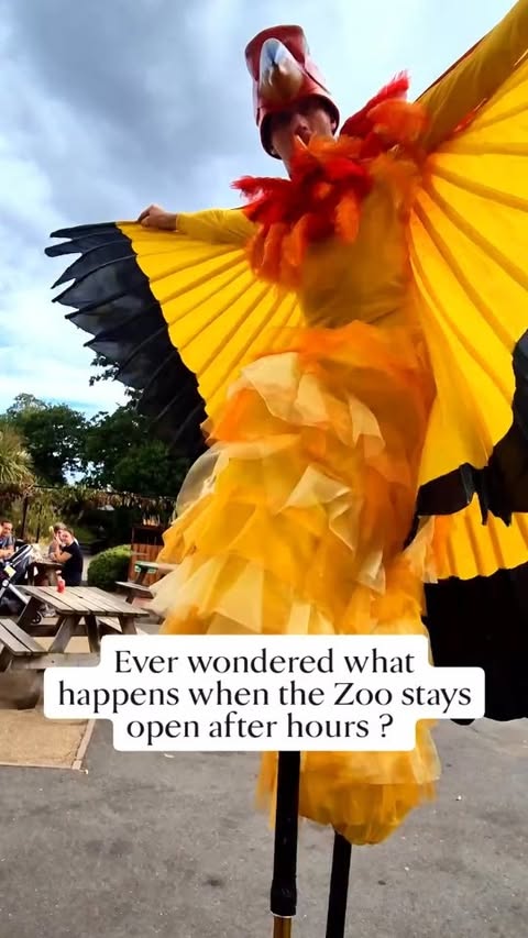 Instagram post by @little_northerners for Chester Zoo. Caption reads: [...] best part of the day! We’ve been to Chester....