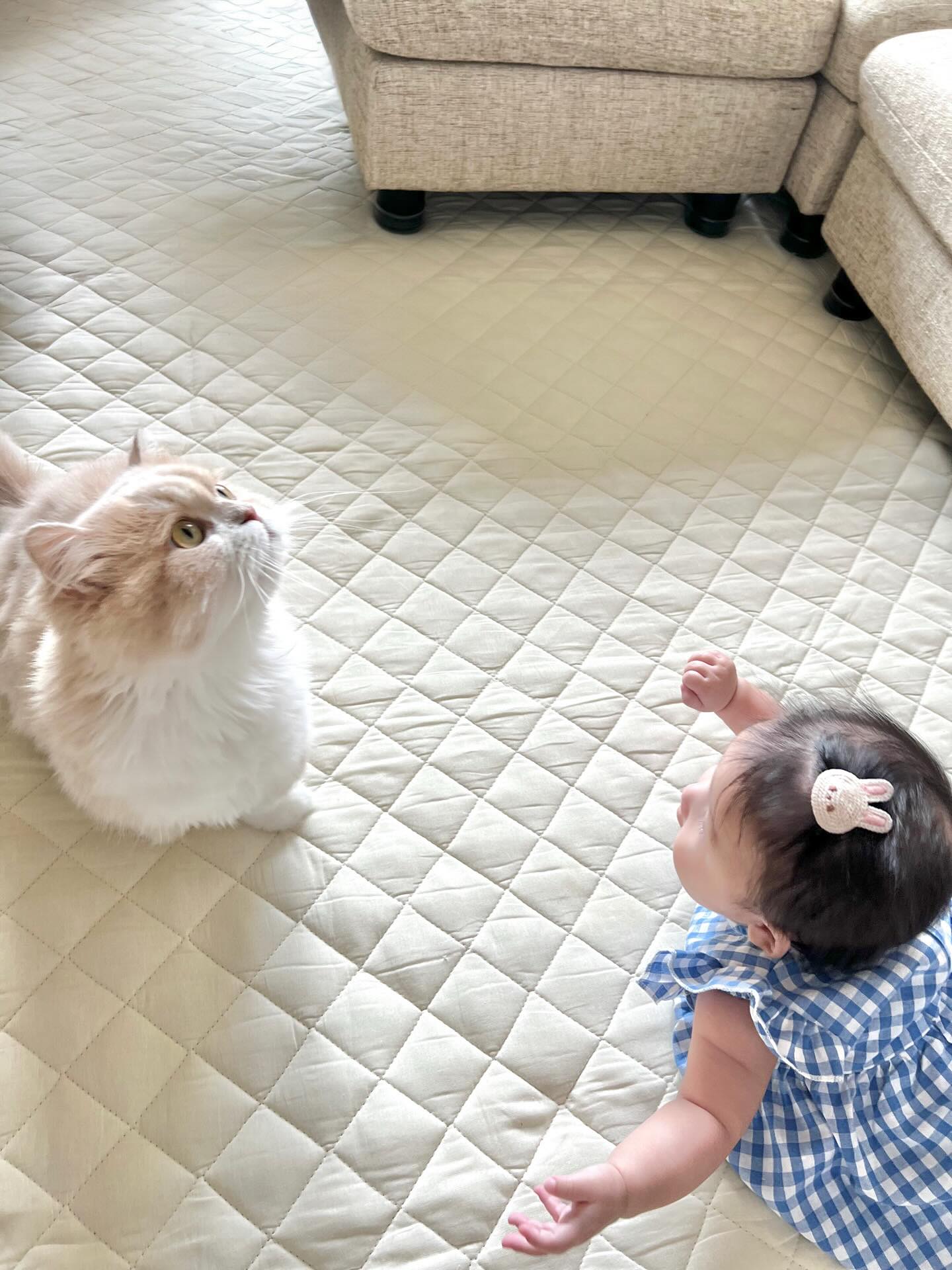 Instagram post by @biju_0703 for Little Rooms. Caption reads: 🌈#PR....