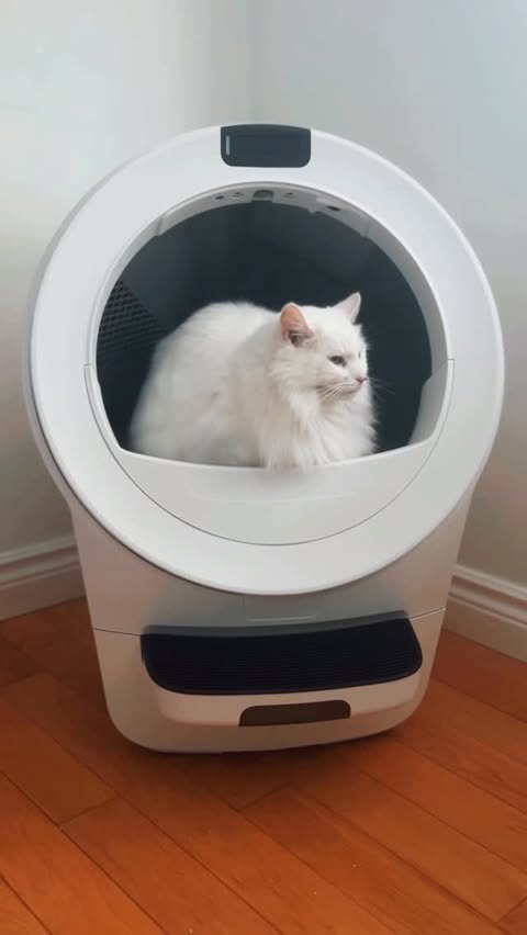 Instagram post by @beautynthebean for Litter-Robot. Caption reads: [...] are actually helping.

We’ve used....