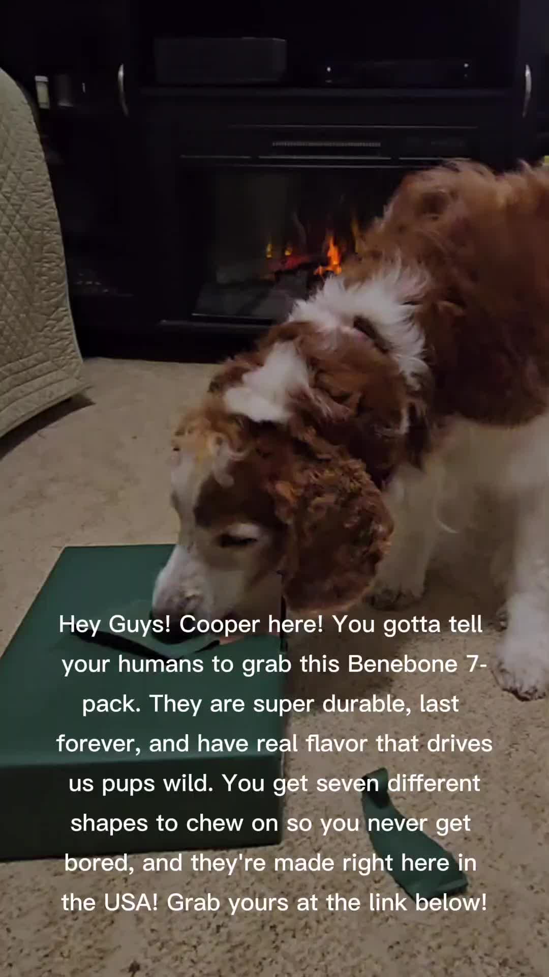 TikTok post by @c.j._and_chopper for Benebone. Caption reads: #benebone #dogbone #dogtoy #dogbone @Benebone.