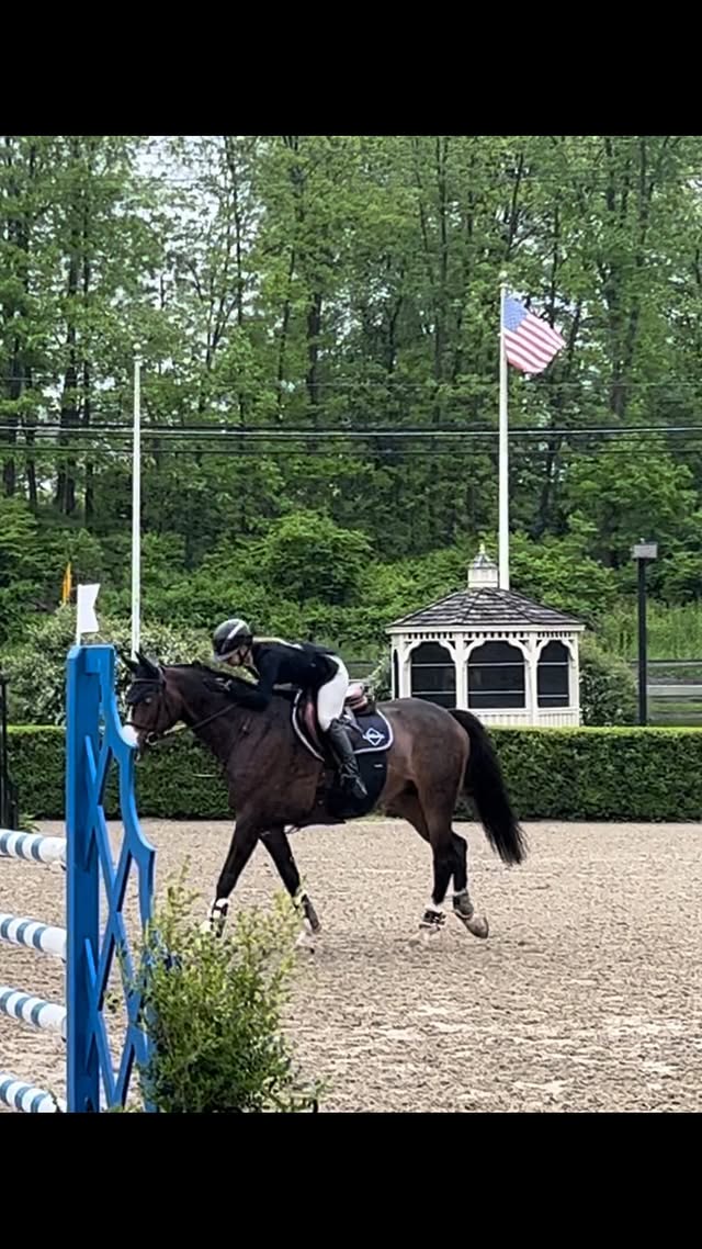 Instagram post by @zarashowjumper for Dada Sport. Caption reads: Very proud of my guy today hopping round the 1.20....