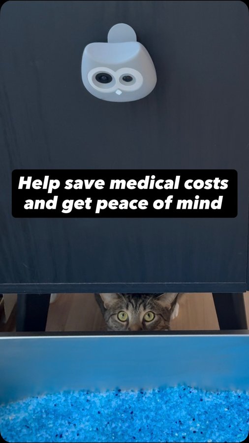 Instagram post by @dieseldoesnothing for Siipet. Caption reads: Get your LitterLens for 10% off at siipet.com with....