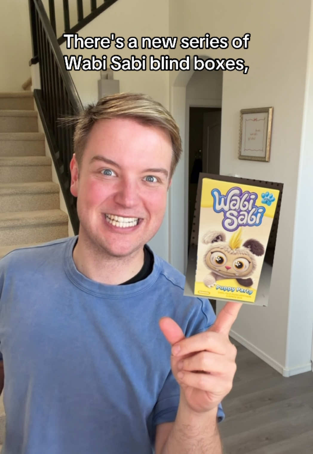 TikTok post by @mrthomasunboxes for What Do You Meme?. Caption reads: New Wabi Sabi Puppy Party Blind Boxes! @Relatable....