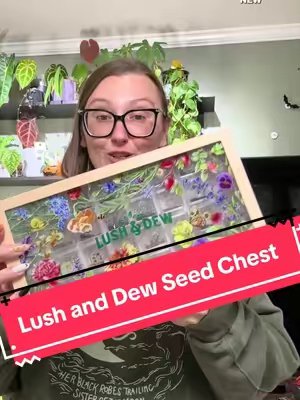 TikTok post by @theplantlifewithshannon for LUSH&DEW. Caption reads: The prettiest seed chests are from @LUSH&DEW ✨....