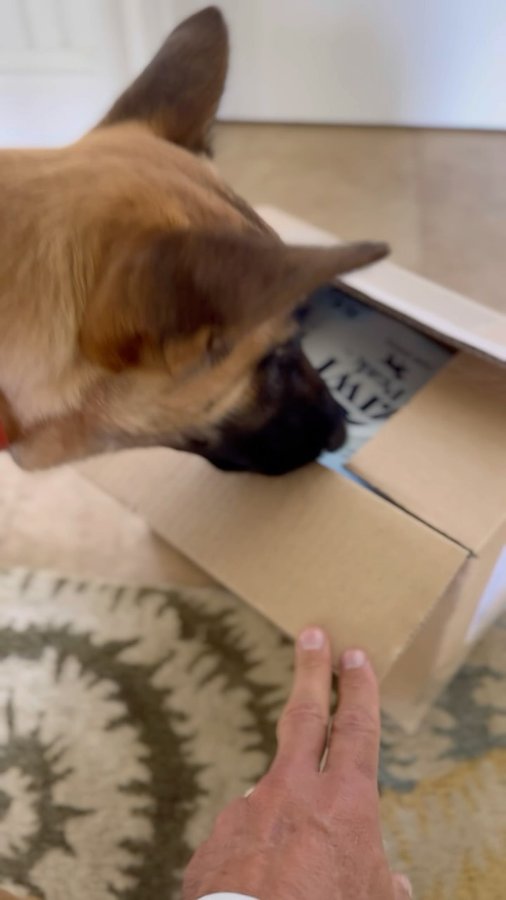 Instagram post by @robertcabral for ZIWI Pet Food. Caption reads: Schmoo’s favorite food  ZIWI Peak beef and pumpkin....