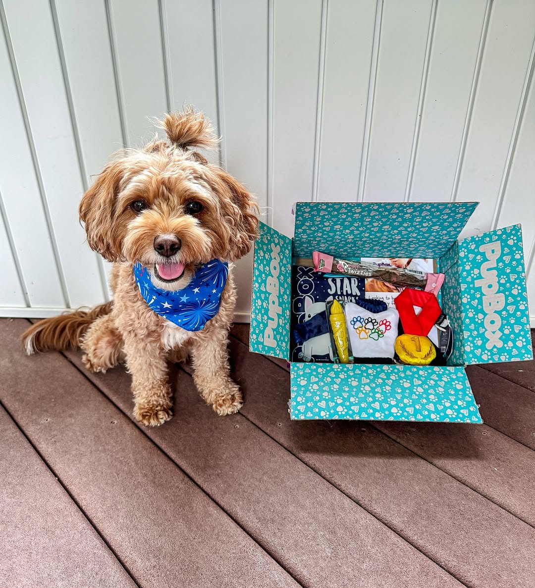 Instagram post by @with.love.kaden.and.adalynn for PupBox. Caption reads: #sponsored by @pupbox. 💜
━
Addie loves her....