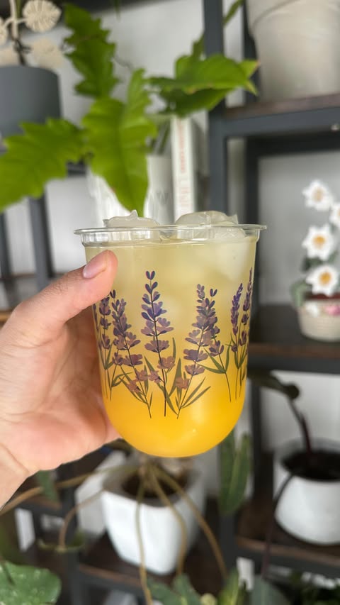 Instagram post by @plantiiplants for Tossware. Caption reads: #ad ☀️ Sip in style this spring with TOSSWARE’s....