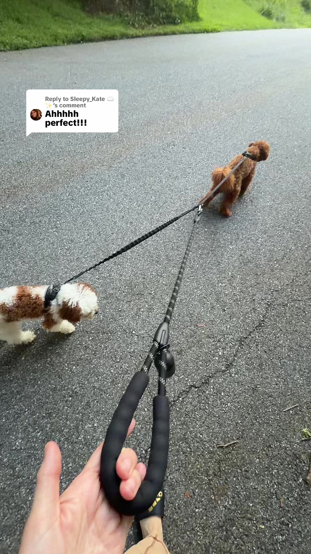 TikTok post by @shelly22227 for TikTok Shop Creator Edu. Caption reads: [...] @TikTok Creator Pilot Program....