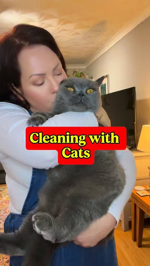 Instagram post by @sisterpledgecleans for KatKin. Caption reads: [...] it is to keep clean. I’ve been feeding....