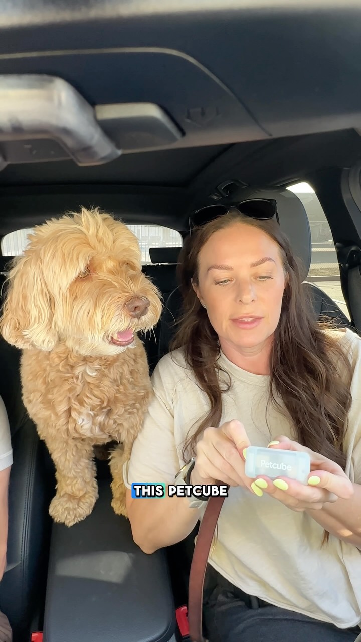 Instagram post by @sampson_the_dood for Petcube. Caption reads: The lost sound alert is key! Check out @petcube....