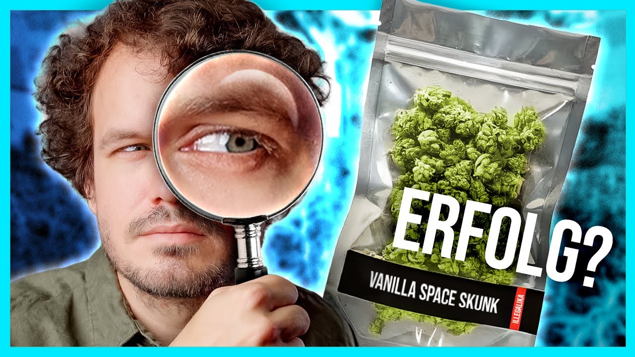 YouTube post by @spacefrogs for Holy Squad. Caption reads: Was hat sich nach einem Jahr legal Kiffen....
