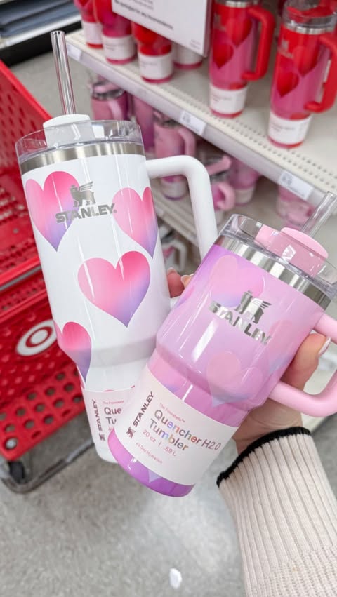 Instagram post by @targettherapy for Stanley 1913. Caption reads: Target really does this to me every time 👀🤍....