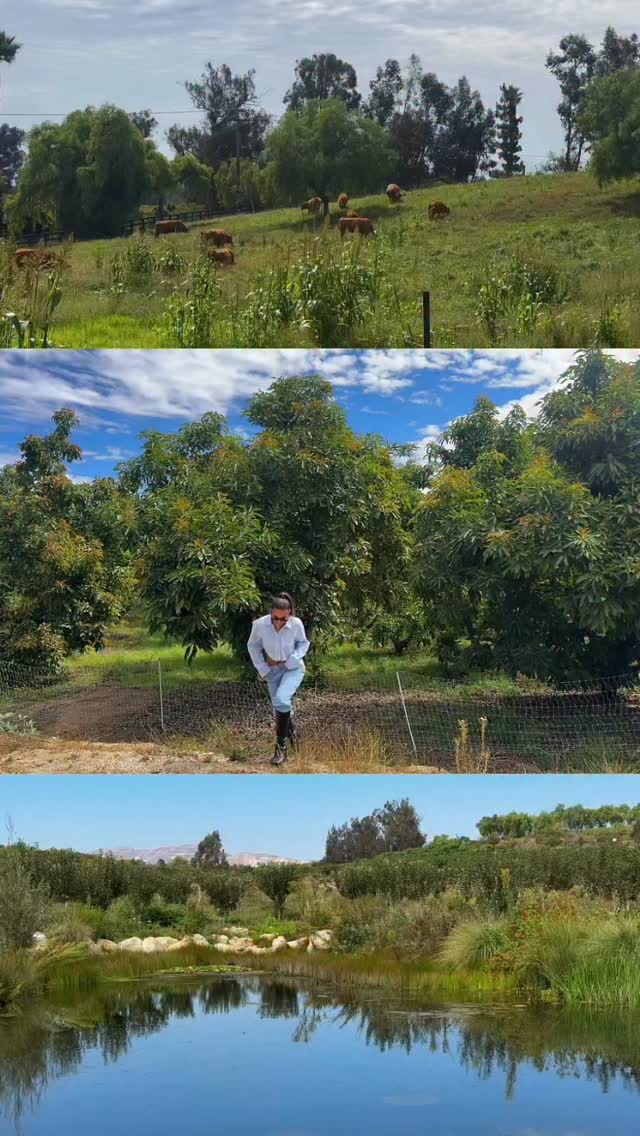 Instagram post by @sheelaawe for ACURE. Caption reads: @acurebeauty just launched The Farm Collection....