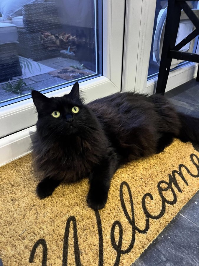 Instagram post by @lady_dennis_ for Artsy Mats. Caption reads: [...] (@lady_dennis_ ) 
.
.
Thank you again....