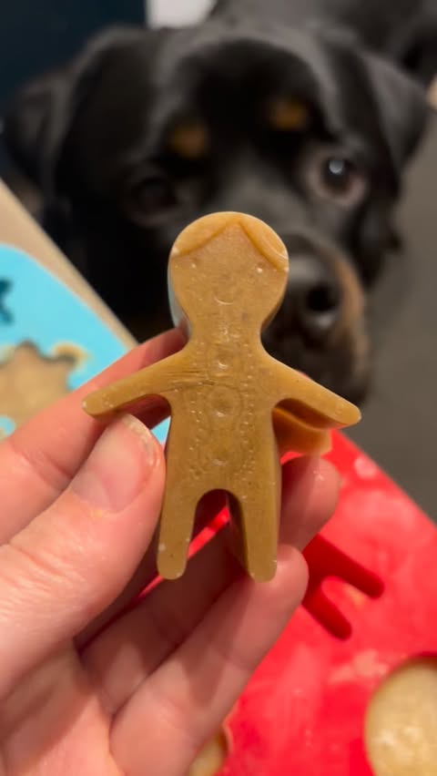 Instagram post by @_bear_the_rottie for Furr Boost. Caption reads: [...] hydrated too and in summer we also use....