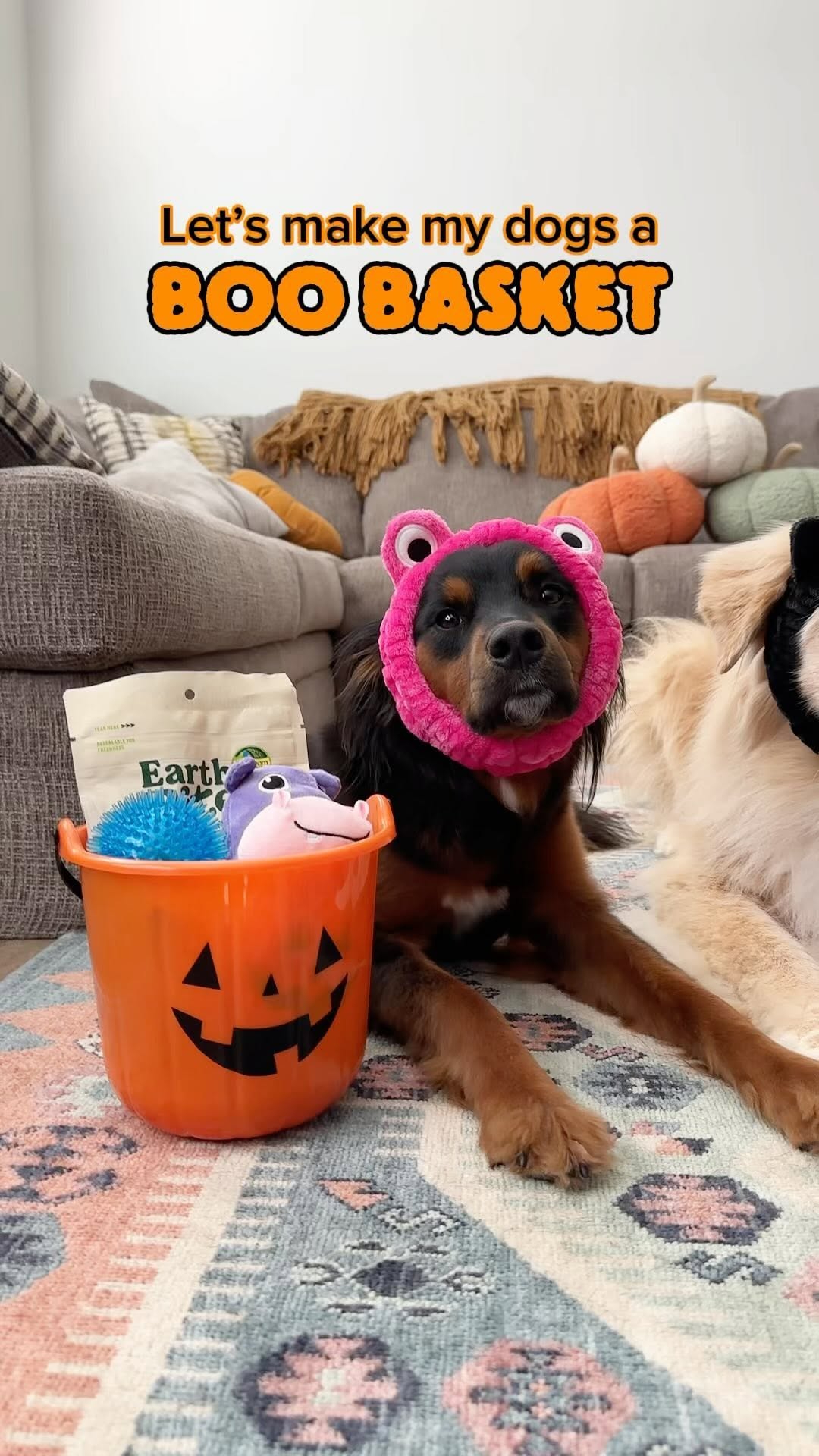 Instagram post by @wanderlustwithdogs for Earthborn Holistic Pet Food. Caption reads: AD| Every dog deserves a Boo Basket 🎃 

I had a....