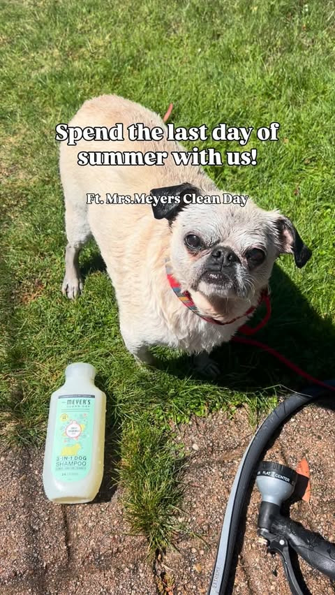 Instagram post by @dose.of.loaf for Mrs. Meyer's Clean Day. Caption reads: [...] our 3-in-1 chamomile shampoo from....