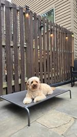 Instagram post by @autumn_thegoldie for TIKI Brand. Caption reads: Our @TikiBrandProducts BiteFighter LED String....