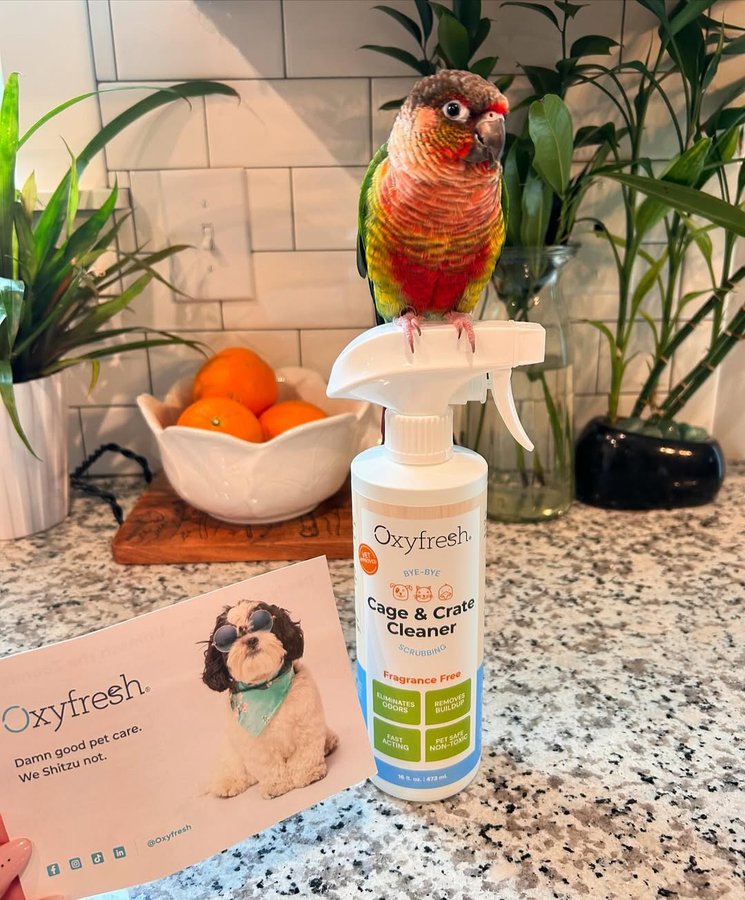 Instagram post by @jasper.adventure.bird for Oxyfresh. Caption reads: Today is cleaning day!!🧼🫧 and @oxyfresh is....