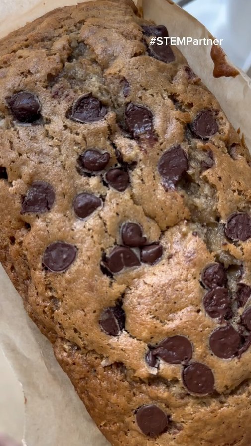 Instagram post by @michellemariejavier for STEMforBugs. Caption reads: [...] I keep my apartment insect free with....