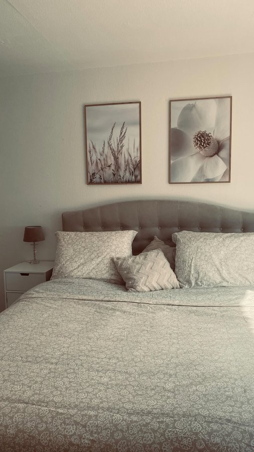 Instagram post by @ana_aana00_ for Gallerix. Caption reads: My beautiful paintings @gallerix 
#gallerix....