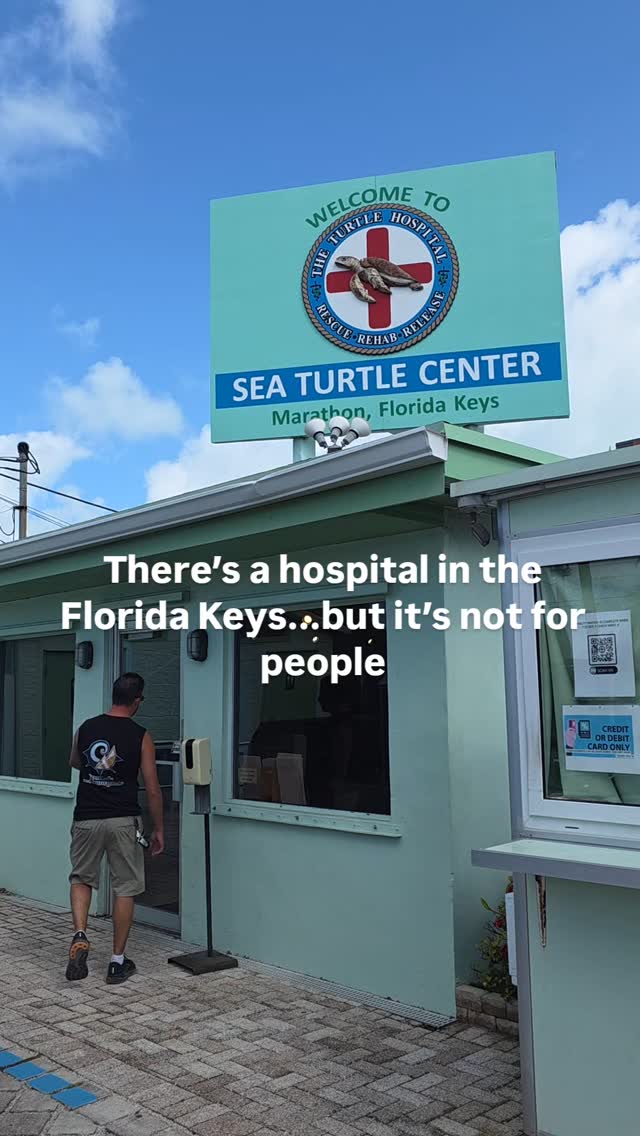 Instagram post by @snorkelsandsnowpants for VISITFLORIDA. Caption reads: The Turtle Hospital in Marathon rescues injured....