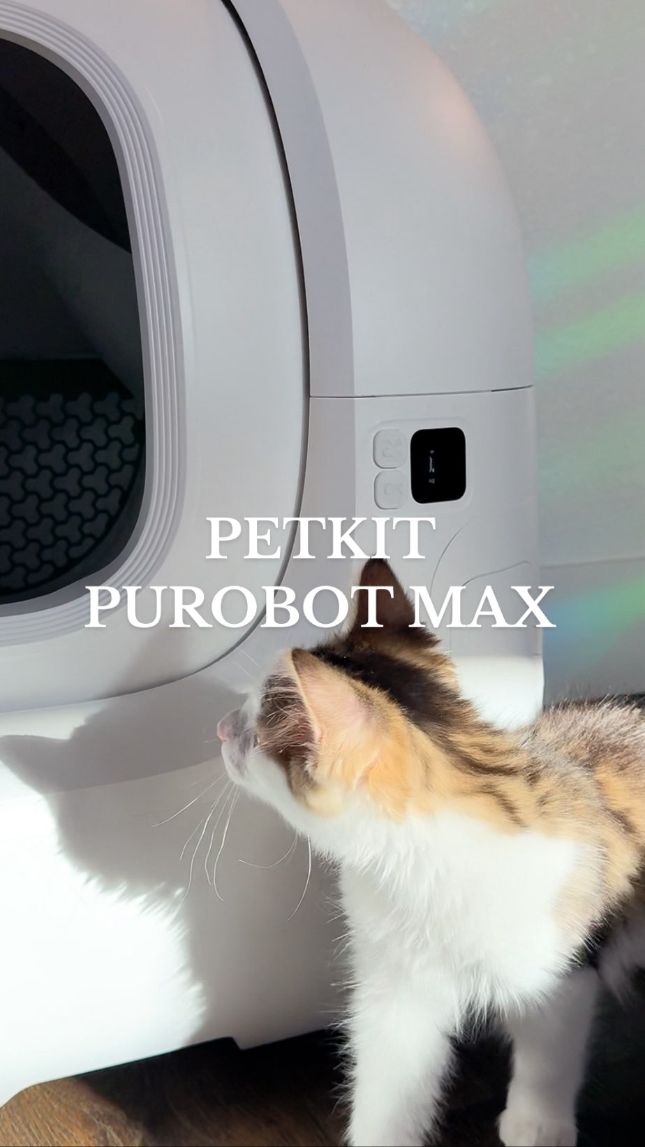 Instagram post by an influencer for PETKIT US. Caption reads: [...] our newest addition of the @petkitus Purobot....