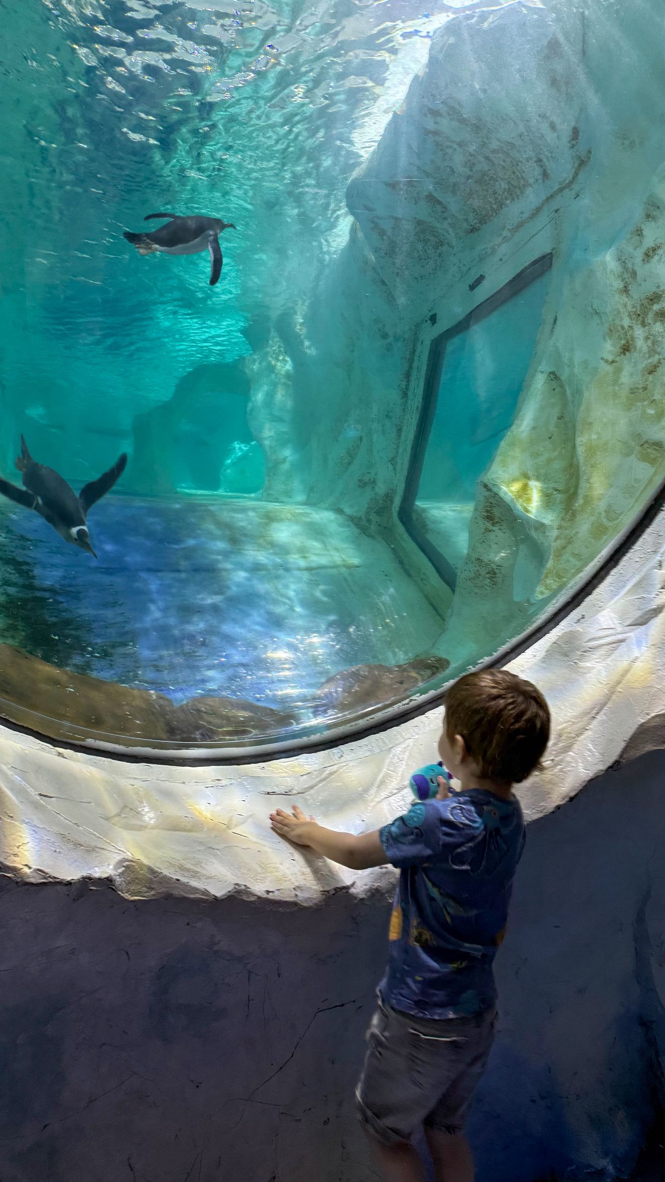 Instagram post by @theminimesandme for Sea Life Centre. Caption reads: ad | Step into a world of underwater wonder at....