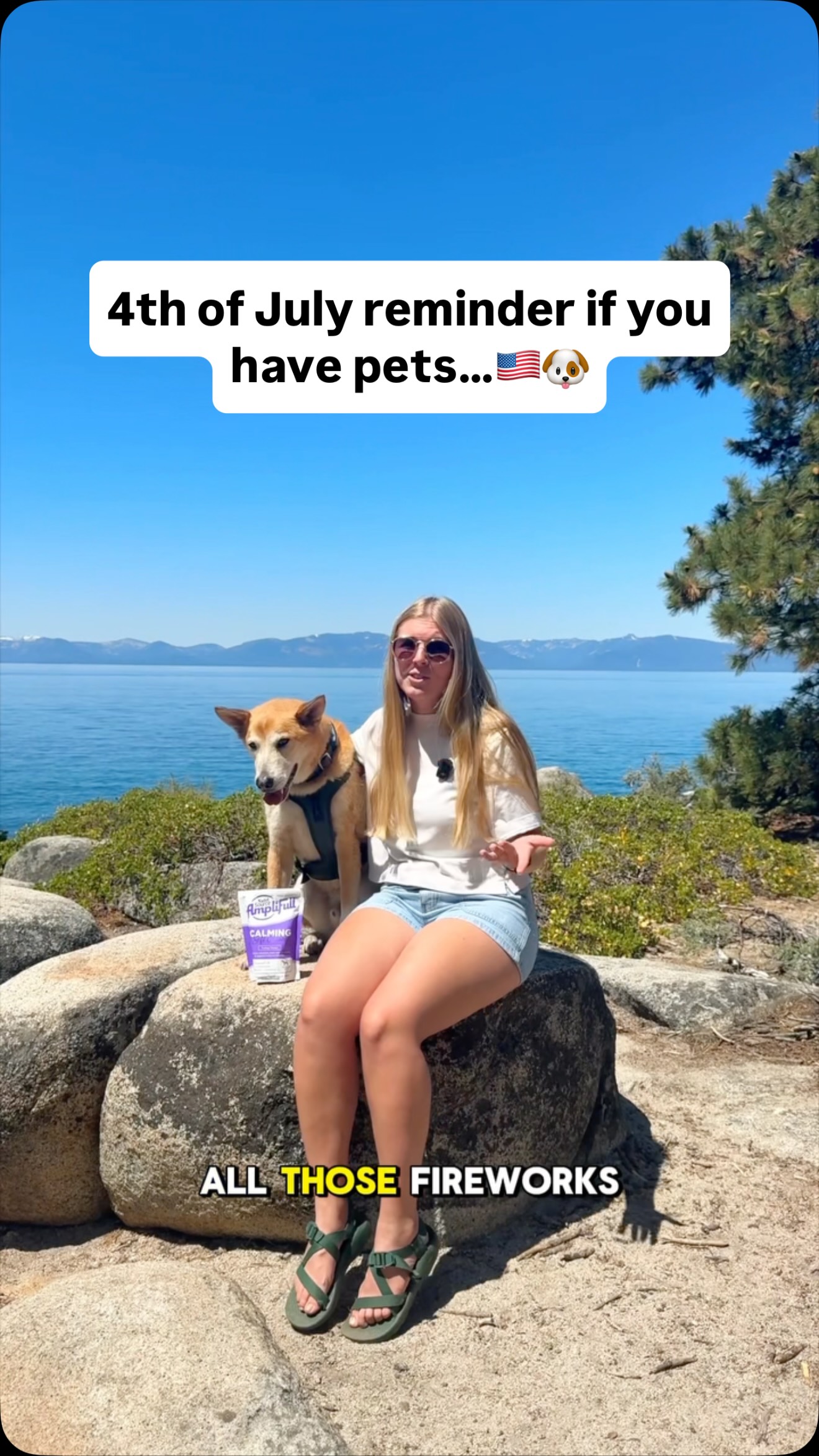 Instagram post by @themobilehomie for NutriSource Pet Foods. Caption reads: 📣 4th of July Reminder:

Not every family member....