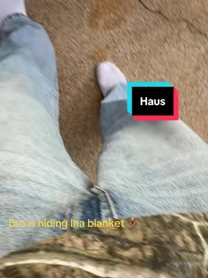TikTok post by @gormsworld_ for Squidhaus. Caption reads: Get yours #haus #fallfashion #falldealsforyou....
