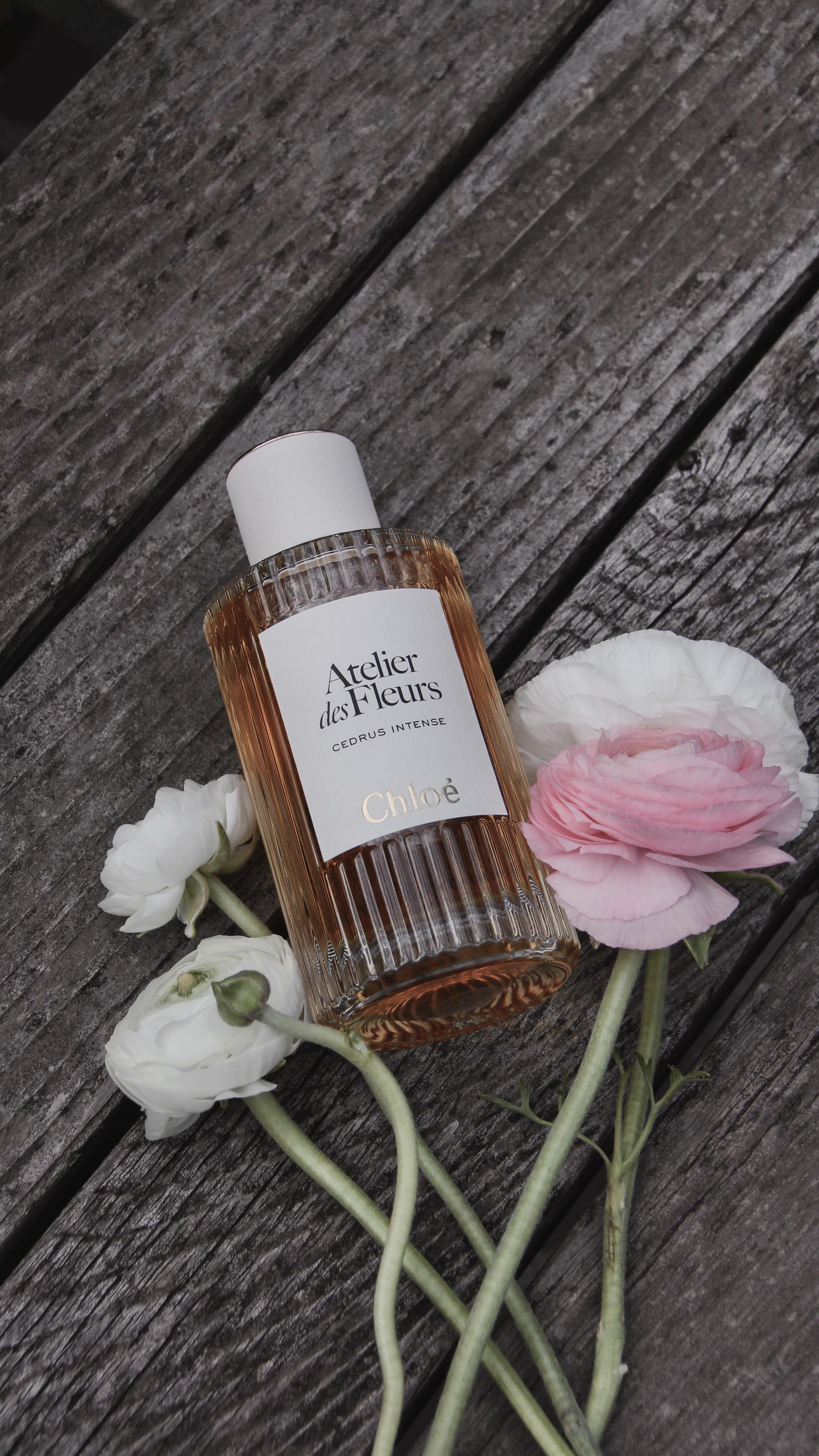 Instagram post by @simple.blanc for David Jones. Caption reads: Stepping into a quiet moment at the Chloé Atelier....