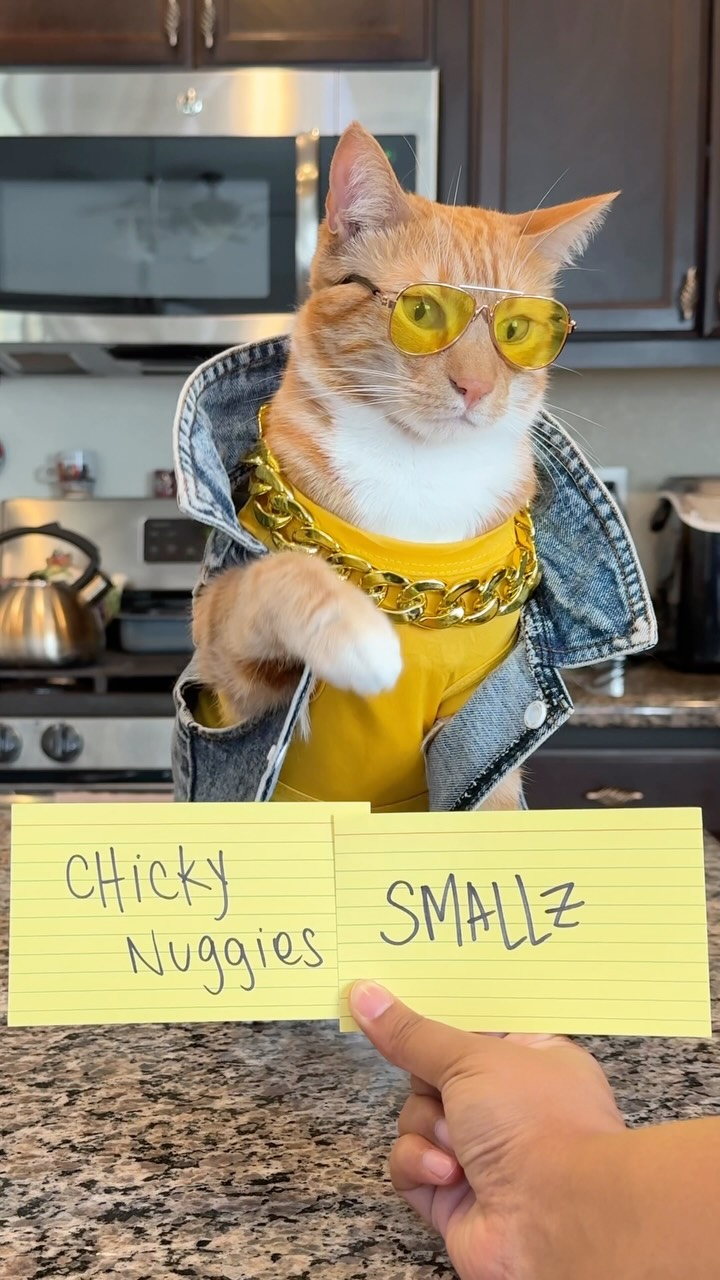 Instagram post by @bacpackseven for Smalls. Caption reads: @smallsforcats 🤭 No way! #seventheorangecat....