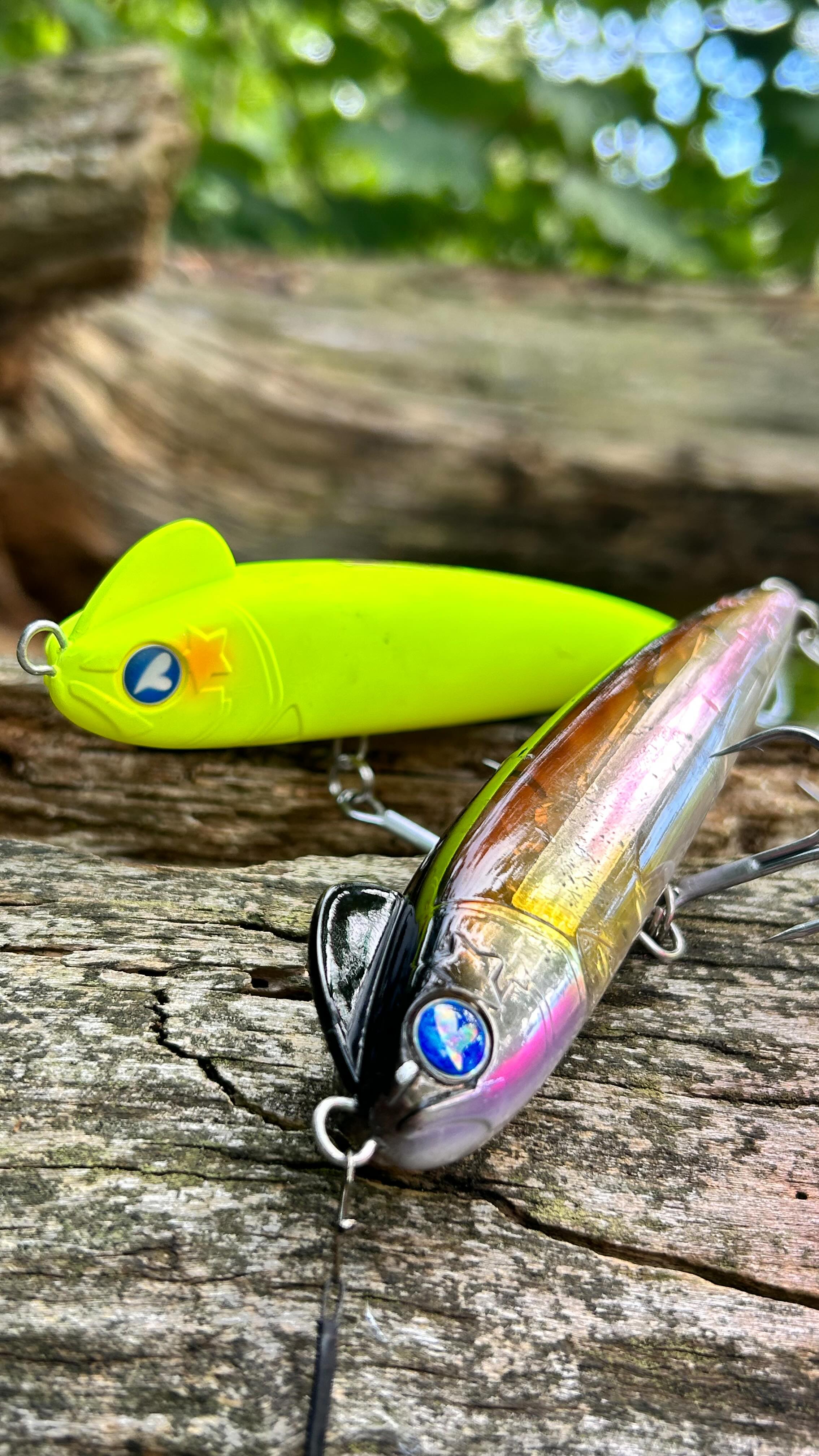 Instagram post by @charlies.fishing.official for BlueBlue Fishing. Caption reads: Beat the rest, bring a SNECON! 😎

Available at....