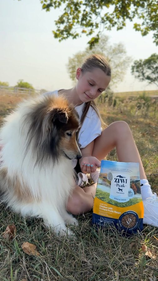 Instagram post by @danesandthings for ZIWI Pet Food. Caption reads: You can trust ZIWI PEAK and their new Steam &....