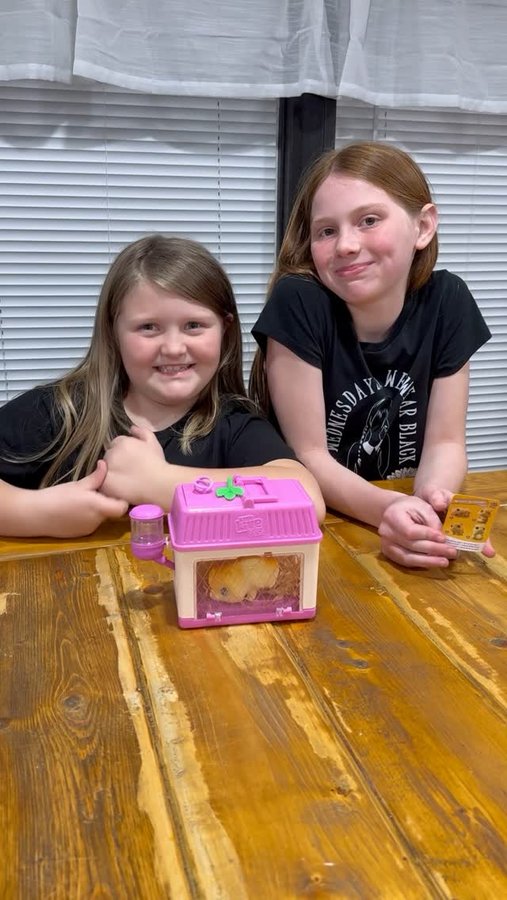 Instagram post by an influencer for Moose Toys. Caption reads: Unboxing fun with @moosetoys Little Live Pets Mama....