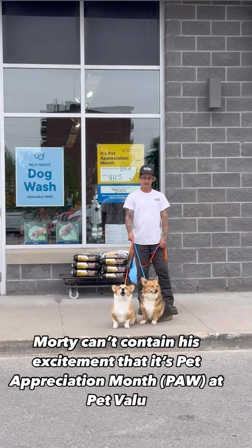 Instagram post by @morty_the_space_corgi for Pet Valu. Caption reads: It’s Pet Appreciation Month at @petvalu 💙 This is....