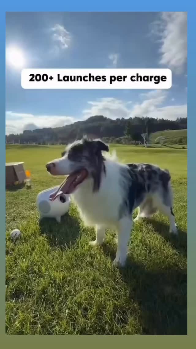 Instagram post by @momentsbyalev for Uahpet. Caption reads: This amazing ball launcher is from....